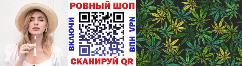 Меф Бородино