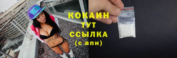 прущие грибы Баксан