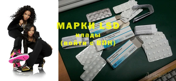 прущие грибы Баксан