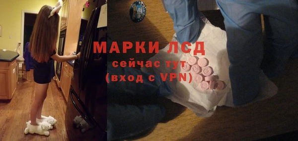 стаф Беломорск