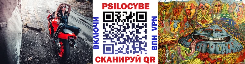 Галлюциногенные грибы MAGIC MUSHROOMS  купить закладку  Бородино 