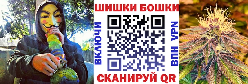закладка  Бородино  Канабис план 